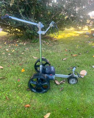 Carrello golf elettrico