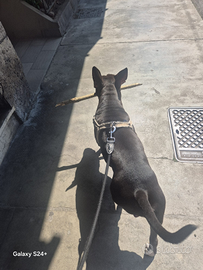 Per motivi di famiglia