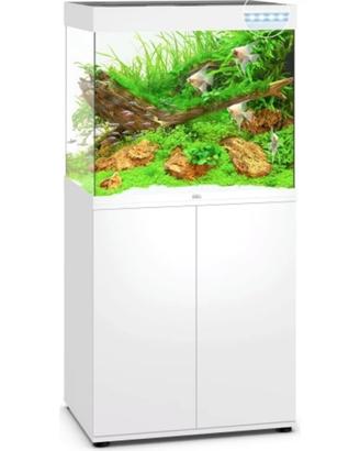 Acquario di Barriera Juwel Lido 200