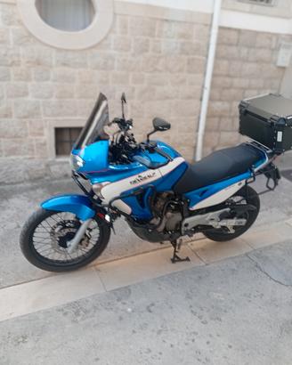 Honda Transalp 650 anno 2005 