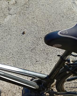 Bici Elettrica in Alluminio