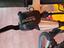 Immagine 3
