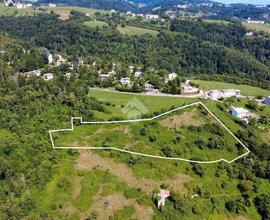 TER. AGRICOLO A ERBEZZO