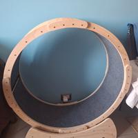 ruota di legno per gatti e cani 