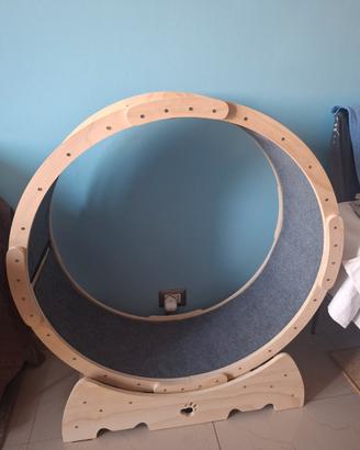 ruota di legno per gatti e cani 