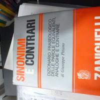 Zanichelli Dizionario Fraseologico