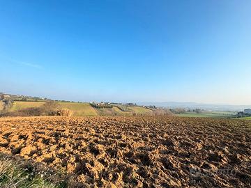 Accessorio con terreno agricolo