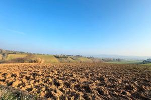 Accessorio con terreno agricolo