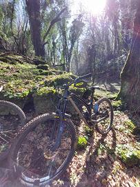 Mtb Evil Wreckoning 2018