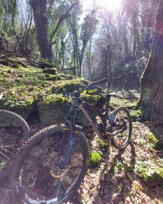 Mtb Evil Wreckoning 2018