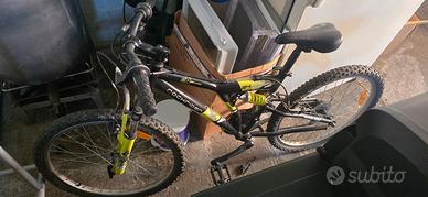 mountain bike 24 biammortizzata