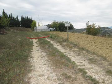 Rif. 238b terreno a montesilvano