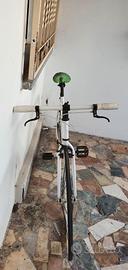 bicicletta single speed o ruota libera 