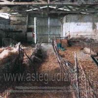 Azienda Agricola Collazzone [A4312102]