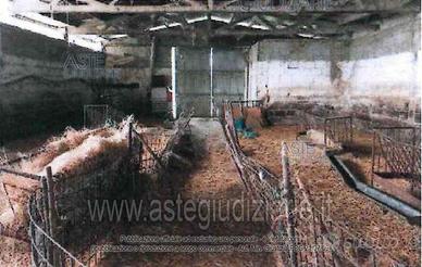 Azienda Agricola Collazzone [A4312102]