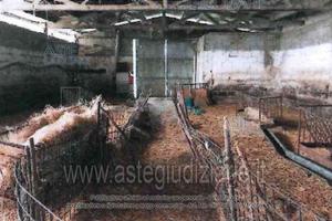 Azienda Agricola Collazzone [A4312102]