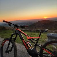 specialized Turbo levo carbon tagliaL. L