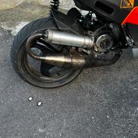 Malossi curva alta piaggio
