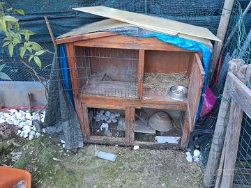 gratis casetta per coniglio 