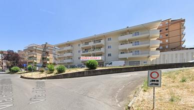 Negozio Velletri [VE2020C1AFBACG]