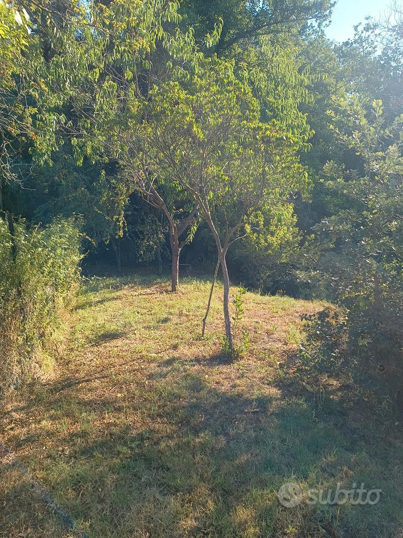 Terreno con box-garage - Vista 5