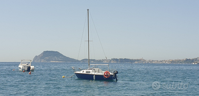 Leisure 17 con carrello stradale