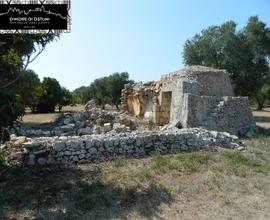 LA PICCOLA LAMIA degli OLEANDRI - OSTUNI