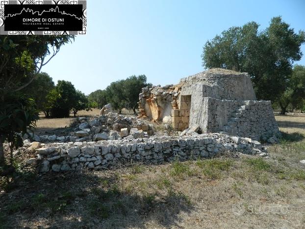 LA PICCOLA LAMIA degli OLEANDRI - OSTUNI