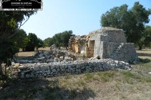 LA PICCOLA LAMIA degli OLEANDRI - OSTUNI