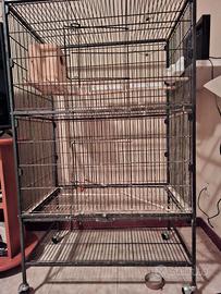 Voliera grande per uccelli