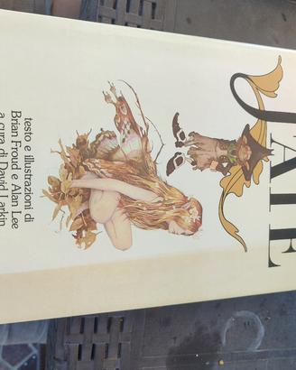 Libro Fate Rizzoli 1 Edizione 1979 Faeries