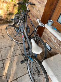 Biciclette 2 montanbike una nera ed una grigia