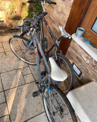 Biciclette 2 montanbike una nera ed una grigia