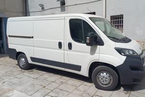 furgone pegiou ,2019