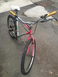 Bicicletta uomo