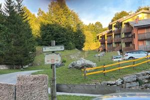 Tricolare Branchetto Boscochiesanuova