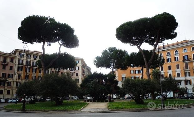 Quartiere trieste - stanza libera subito