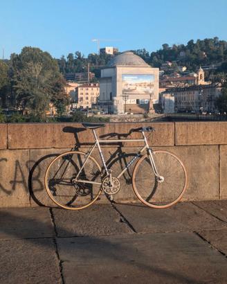 Atala del 1981, tg. 55
