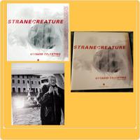 OTTAVIO CELESTINO Stranecreature a cura di Marco B
