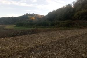 Terreno agricolo