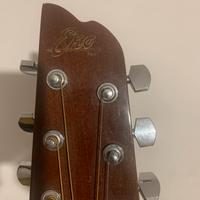 Chitarra acustica