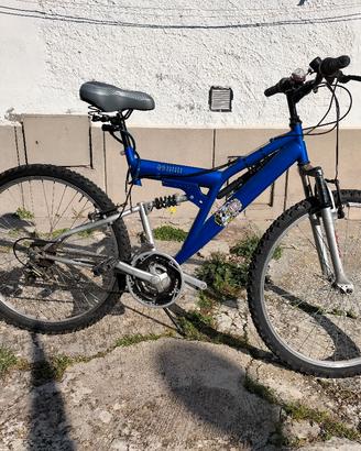Bicicletta