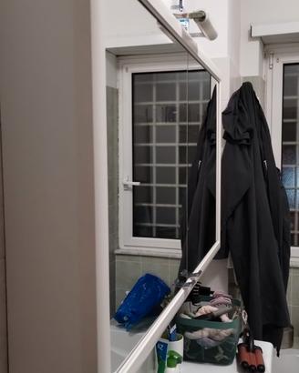 Specchio contenitore bagno Inda