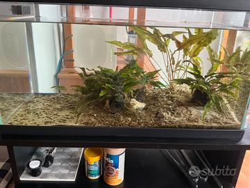 Vasca acquario