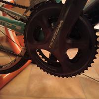 Bianchi sempre XL carbonio