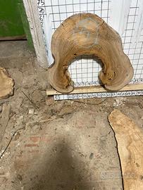 Legno naturale - Dischi (fette) di olmo essiccato