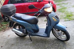 SH 150, regolarmente marciante