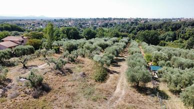 TER. AGRICOLO A FIANO ROMANO