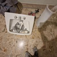 Lavabo a colonna in ceramica bianca + Rubinetteria