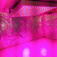 growbox attrezzatura